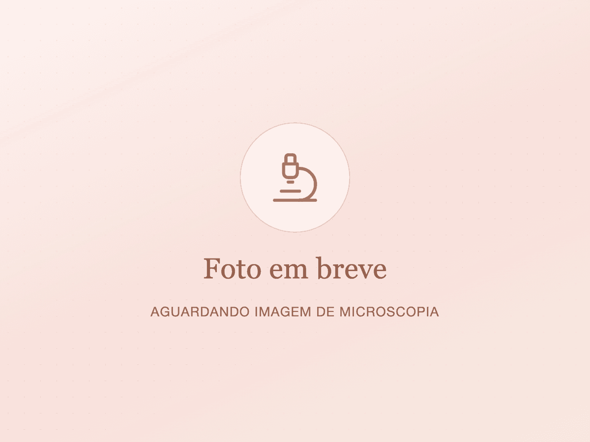 Microscopia e Diagnóstico